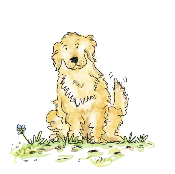 Buffett & His Boy by Lexie Yut