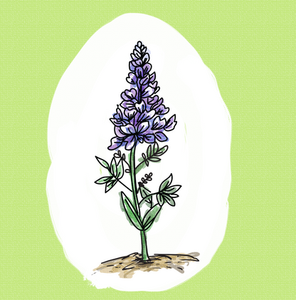 Wildflower, Wildflower by Lexie Yut